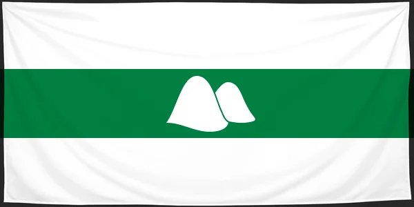 Флаг: Курганская область